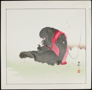 Małpa łapiąca pszczołę, sprzed 1912 r.